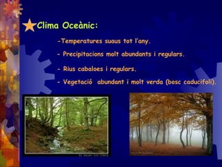 Clima Oceànic:
-Temperatures suaus tot l’any.
- Precipitacions molt abundants i regulars.
- Rius cabaloes i regulars.
- Vegetació abundant i molt verda (bosc caducifoli).
 
