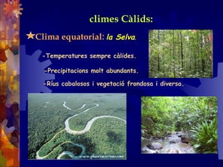 climes Càlids:
Clima equatorial: la Selva.
-Temperatures sempre càlides.
-Precipitacions molt abundants.
-Ríus cabalosos i vegetació frondosa i diversa.
 