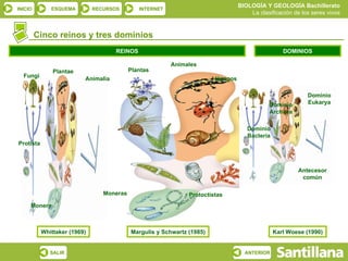 Fungi Plantae Animalia Protista Monera Plantas Animales Hongos Protoctistas Moneras Whittaker (1969) Margulis y Schwartz (1985) Karl Woese (1990) REINOS DOMINIOS Cinco reinos y tres dominios Dominio Eukarya Dominio Archaea Dominio Bacteria Antecesor común 
