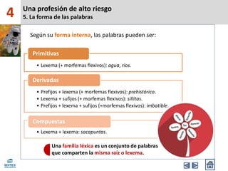 Una profesión de alto riesgo
5. La forma de las palabras4
• Lexema (+ morfemas flexivos): agua, ríos.
Primitivas
• Prefijos + lexema (+ morfemas flexivos): prehistórico.
• Lexema + sufijos (+ morfemas flexivos): sillitas.
• Prefijos + lexema + sufijos (+morfemas flexivos): imbatible.
Derivadas
• Lexema + lexema: sacapuntas.
Compuestas
Según su forma interna, las palabras pueden ser:
Una familia léxica es un conjunto de palabras
que comparten la misma raíz o lexema.
 