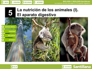 5 La nutrición de los animales (I).  El aparato digestivo NOTICIA INICIAL ESQUEMA RECURSOS INTERNET 