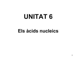 UNITAT 6
Els àcids nucleics




                     1
 
