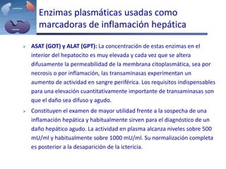 Enzimas plasmáticas usadas como
marcadoras de inflamación hepática
 ASAT (GOT) y ALAT (GPT): La concentración de estas enzimas en el
interior del hepatocito es muy elevada y cada vez que se altera
difusamente la permeabilidad de la membrana citoplasmática, sea por
necrosis o por inflamación, las transaminasas experimentan un
aumento de actividad en sangre periférica. Los requisitos indispensables
para una elevación cuantitativamente importante de transaminasas son
que el daño sea difuso y agudo.
 Constituyen el examen de mayor utilidad frente a la sospecha de una
inflamación hepática y habitualmente sirven para el diagnóstico de un
daño hepático agudo. La actividad en plasma alcanza niveles sobre 500
mU/ml y habitualmente sobre 1000 mU/ml. Su normalización completa
es posterior a la desaparición de la ictericia.
 