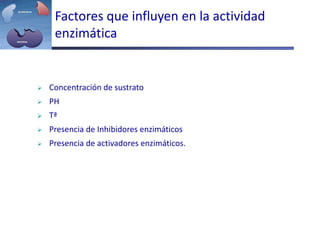 Factores que influyen en la actividad
enzimática
 Concentración de sustrato
 PH
 Tª
 Presencia de Inhibidores enzimáticos
 Presencia de activadores enzimáticos.
 