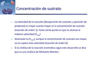 Concentración de sustrato
 La velocidad de la reacción (desaparición de sustrato y aparición de
producto) es mayor cuanto mayor es la concentración de sustrato
(reacción de orden 1), hasta cierto punto en que se alcanza la
máxima velocidad (Vmáx)
 Alcanzada la (Vmáx), aunque la concentración de sustrato sea mayor,
no se supera esta velocidad (reacción de orden 0).
 Si la cinética de la reacción enzimática sigue este desarrollo se dice
que es una cinética de Michaelis-Menten.
 