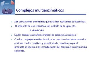 Complejos multienzimáticos
 Son asociaciones de enzimas que catalizan reacciones consecutivas.
 El producto de una reacción es el sustrato de la siguiente.
A BCD
 Sin los complejos multienzimáticos se pierde más sustrato
 Con los complejos multienzimáticos se crea un micro entorno de los
enzimas con los reactivos y se optimiza la reacción ya que el
producto se libera en las inmediaciones del centro activo del enzima
siguiente.
 