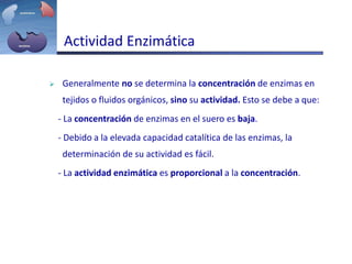 Actividad Enzimática
 Generalmente no se determina la concentración de enzimas en
tejidos o fluidos orgánicos, sino su actividad. Esto se debe a que:
- La concentración de enzimas en el suero es baja.
- Debido a la elevada capacidad catalítica de las enzimas, la
determinación de su actividad es fácil.
- La actividad enzimática es proporcional a la concentración.
 