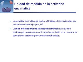 Unidad de medida de la actividad
enzimática
 La actividad enzimática se mide en Unidades Internacionales por
unidad de volumen (UI/mL, U/L).
 Unidad Internacional de actividad enzimática: cantidad de
enzima que transforma un micromol de sustrato en un minuto, en
condiciones estándar previamente establecidas.
 
