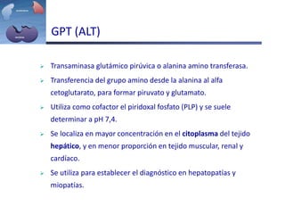  Transaminasa glutámico pirúvica o alanina amino transferasa.
 Transferencia del grupo amino desde la alanina al alfa
cetoglutarato, para formar piruvato y glutamato.
 Utiliza como cofactor el piridoxal fosfato (PLP) y se suele
determinar a pH 7,4.
 Se localiza en mayor concentración en el citoplasma del tejido
hepático, y en menor proporción en tejido muscular, renal y
cardíaco.
 Se utiliza para establecer el diagnóstico en hepatopatías y
miopatías.
GPT (ALT)
 