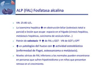 ALP (FAL) Fosfatasa alcalina
 VN: 25-85 U/L.
 La isoenzima hepática  en obstrucción biliar (colestasis total o
parcial) o lesión que ocupe espacio en el hígado (cirrosis hepática,
metástasis hepáticas, carcinoma de vesícula biliar…)
 Patrón de colestasis   de FAL y GGT - VN de GOT y GPT
  en patologías del hueso con  actividad osteoblástica
(enfermedad de Paget, osteosarcoma o metástasis).
 Niveles séricos de FAL inferiores a los normales pueden encontrarse
en personas que sufren hipotiroidismo y en niños que presentan
retraso en el crecimiento.
 