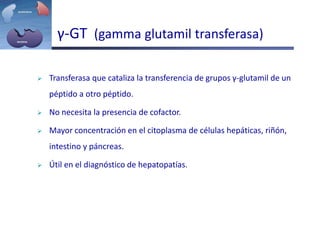 γ-GT (gamma glutamil transferasa)
 Transferasa que cataliza la transferencia de grupos γ-glutamil de un
péptido a otro péptido.
 No necesita la presencia de cofactor.
 Mayor concentración en el citoplasma de células hepáticas, riñón,
intestino y páncreas.
 Útil en el diagnóstico de hepatopatías.
 