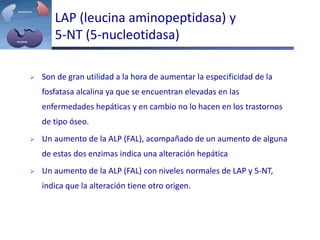 LAP (leucina aminopeptidasa) y
5-NT (5-nucleotidasa)
 Son de gran utilidad a la hora de aumentar la especificidad de la
fosfatasa alcalina ya que se encuentran elevadas en las
enfermedades hepáticas y en cambio no lo hacen en los trastornos
de tipo óseo.
 Un aumento de la ALP (FAL), acompañado de un aumento de alguna
de estas dos enzimas indica una alteración hepática
 Un aumento de la ALP (FAL) con niveles normales de LAP y 5-NT,
indica que la alteración tiene otro origen.
 