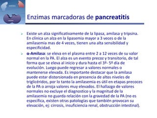 Enzimas marcadoras de pancreatitis
 Existe un alza significativamente de la lipasa, amilasa y tripsina.
En clínica un alza en la lipasemia mayor a 3 veces o de la
amilasemia mas de 4 veces, tienen una alta sensibilidad y
especificidad.
 α-Amilasa: se eleva en el plasma entre 2 a 12 veces de su valor
normal en la PA. El alza es un evento precoz y transitorio, de tal
forma que se eleva al inicio y dura hasta el 3º- 5º día de
evolución. Luego puede regresar a valores normales o
mantenerse elevada. Es importante destacar que la amilasa
puede estar distorsionada en presencia de altos niveles de
triglicéridos, por lo tanto la amilasemia es útil en etapas precoces
de la PA o arroja valores muy elevados. El hallazgo de valores
normales no excluye el diagnostico y la magnitud de la
amilasemia no guarda relación con la gravedad de la PA (no es
específica, existen otras patologías que también provocan su
elevación, ej: cirrosis, insuficiencia renal, obstrucción intestinal).
 