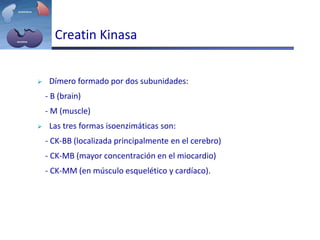 Creatin Kinasa
 Dímero formado por dos subunidades:
- B (brain)
- M (muscle)
 Las tres formas isoenzimáticas son:
- CK-BB (localizada principalmente en el cerebro)
- CK-MB (mayor concentración en el miocardio)
- CK-MM (en músculo esquelético y cardíaco).
 