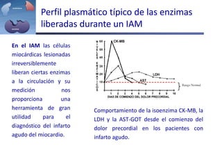 En el IAM las células
miocárdicas lesionadas
irreversiblemente
liberan ciertas enzimas
a la circulación y su
medición nos
proporciona una
herramienta de gran
utilidad para el
diagnóstico del infarto
agudo del miocardio.
Perfil plasmático típico de las enzimas
liberadas durante un IAM
Comportamiento de la isoenzima CK-MB, la
LDH y la AST-GOT desde el comienzo del
dolor precordial en los pacientes con
infarto agudo.
 