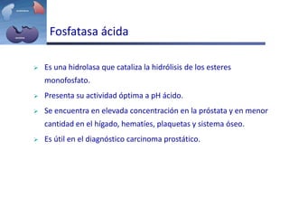 Fosfatasa ácida
 Es una hidrolasa que cataliza la hidrólisis de los esteres
monofosfato.
 Presenta su actividad óptima a pH ácido.
 Se encuentra en elevada concentración en la próstata y en menor
cantidad en el hígado, hematíes, plaquetas y sistema óseo.
 Es útil en el diagnóstico carcinoma prostático.
 