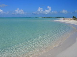 UD07-Determinaciones enzimaticas.pdf