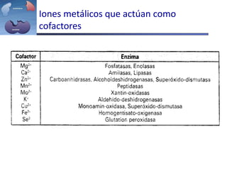 Iones metálicos que actúan como
cofactores
 