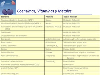 Coenzimas, Vitaminas y Metales
Coenzima Vitamina Tipo de Reacción
Nicotinamida adenín dinucleótico (NAD+) Niacina Oxidación-Reducción
Nicotinamida adenín dinucleótido fosfato (NADP+) Niacina Oxidación-Reducción
Flavín adenín dinucleótido (FAD); Flavín dinucleótido
(FMN)
Riboflavina (Vit. B2) Oxidación-Reducción
Coenzima Q Oxidación-Reducción
Grupos hemínicos del citocromo Oxidación-Reducción
Coenzima A Ácido Pantoténico Activación y transferencia de grupos acilo
Ácido Lipoico Ácido Lipoico Transferencia de grupos acilo
Tiamina pirofosfato Tiamina (Vit. B1) Transferencia de grupos acilo
Biotina Biotina Fijación de CO2
Piridoxal fosfato Piridoxal Transaminación de aa y otras reacciones
Ácido tetrahidrofólico Ácido Fólico Metabolismo de fragmentos de un átomo de
Carbono
Coenzimas de la cobalamina Vitamina B12 Especializadas
Nucleótidos trifosfatos; Adenosíntrifosfato (ATP) Fosforilación
Uridín trifosfato (UTP) Biosíntesis e interconversión de
carbohidratos
Citidín trifosfato (CTP) Biosíntesis de fosfolípidos
 