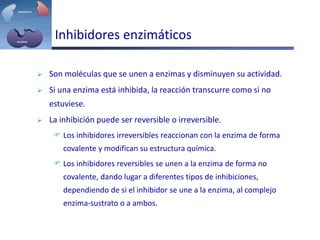 Inhibidores enzimáticos
 Son moléculas que se unen a enzimas y disminuyen su actividad.
 Si una enzima está inhibida, la reacción transcurre como si no
estuviese.
 La inhibición puede ser reversible o irreversible.
 Los inhibidores irreversibles reaccionan con la enzima de forma
covalente y modifican su estructura química.
 Los inhibidores reversibles se unen a la enzima de forma no
covalente, dando lugar a diferentes tipos de inhibiciones,
dependiendo de si el inhibidor se une a la enzima, al complejo
enzima-sustrato o a ambos.
 