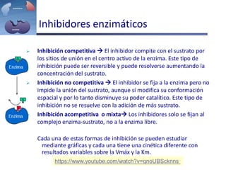 Inhibidores enzimáticos
 Inhibición competitiva  El inhibidor compite con el sustrato por
los sitios de unión en el centro activo de la enzima. Este tipo de
inhibición puede ser reversible y puede resolverse aumentando la
concentración del sustrato.
 Inhibición no competitiva  El inhibidor se fija a la enzima pero no
impide la unión del sustrato, aunque sí modifica su conformación
espacial y por lo tanto disminuye su poder catalítico. Este tipo de
inhibición no se resuelve con la adición de más sustrato.
 Inhibición acompetitiva o mixta Los inhibidores solo se fijan al
complejo enzima-sustrato, no a la enzima libre.
Cada una de estas formas de inhibición se pueden estudiar
mediante gráficas y cada una tiene una cinética diferente con
resultados variables sobre la Vmáx y la Km.
https://www.youtube.com/watch?v=qnoUBScknns
 