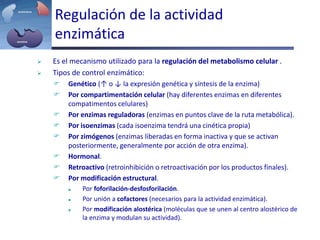 Regulación de la actividad
enzimática
 Es el mecanismo utilizado para la regulación del metabolismo celular .
 Tipos de control enzimático:
 Genético (↑ o ↓ la expresión genética y síntesis de la enzima)
 Por compartimentación celular (hay diferentes enzimas en diferentes
compatimentos celulares)
 Por enzimas reguladoras (enzimas en puntos clave de la ruta metabólica).
 Por isoenzimas (cada isoenzima tendrá una cinética propia)
 Por zimógenos (enzimas liberadas en forma inactiva y que se activan
posteriormente, generalmente por acción de otra enzima).
 Hormonal.
 Retroactivo (retroinhibición o retroactivación por los productos finales).
 Por modificación estructural.
 Por foforilación-desfosforilación.
 Por unión a cofactores (necesarios para la actividad enzimática).
 Por modificación alostérica (moléculas que se unen al centro alostérico de
la enzima y modulan su actividad).
 