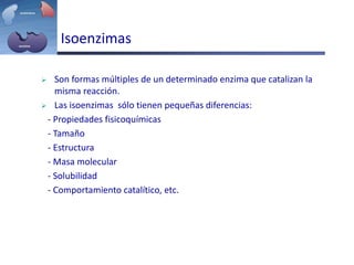 Isoenzimas
 Son formas múltiples de un determinado enzima que catalizan la
misma reacción.
 Las isoenzimas sólo tienen pequeñas diferencias:
- Propiedades fisicoquímicas
- Tamaño
- Estructura
- Masa molecular
- Solubilidad
- Comportamiento catalítico, etc.
 