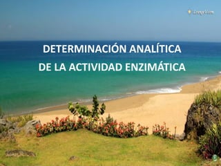 DETERMINACIÓN ANALÍTICA
DE LA ACTIVIDAD ENZIMÁTICA
 