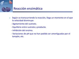 Reacción enzimática
 Según va transcurriendo la reacción, llega un momento en el que
la velocidad disminuye:
- Agotamiento del sustrato.
- Equilibrio entre sustrato y producto.
- Inhibición del enzima.
- Variaciones de pH que no han podido ser amortiguadas por el
tampón, etc.
 