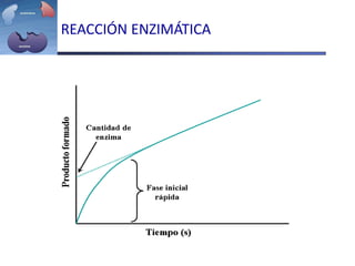 REACCIÓN ENZIMÁTICA
 