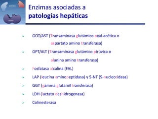 Enzimas asociadas a
patologías hepáticas
 GOT/AST (Transaminasa glutámico oxal-acética o
aspartato amino transferasa)
 GPT/ALT (Transaminasa glutámico pirúvica o
alanina amino transferasa)
 Fosfatasa alcalina (FAL)
 LAP (leucina aminopeptidasa) y 5-NT (5-nucleotidasa)
 GGT (gamma glutamil transferasa)
 LDH (lactato deshidrogenasa)
 Colinesterasa
 