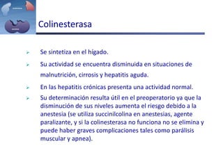 Colinesterasa
 Se sintetiza en el hígado.
 Su actividad se encuentra disminuida en situaciones de
malnutrición, cirrosis y hepatitis aguda.
 En las hepatitis crónicas presenta una actividad normal.
 Su determinación resulta útil en el preoperatorio ya que la
disminución de sus niveles aumenta el riesgo debido a la
anestesia (se utiliza succinilcolina en anestesias, agente
paralizante, y si la colinesterasa no funciona no se elimina y
puede haber graves complicaciones tales como parálisis
muscular y apnea).
 