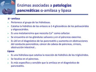 Enzimas asociadas a patologías
pancreáticas α-amilasa y lipasa
α-amilasa
 Pertenece al grupo de las hidrolasas.
 Cataliza la hidrólisis de los enlaces α-1-4 glicosídicos de los polisacáridos
y oligosacáridos.
 Es una metaloenzima que necesita Ca2+ como cofactor.
 Se encuentra en las glándulas salivares y en el páncreas exocrino.
 Es útil en el diagnóstico de las pancreatitis y aumenta en obstrucciones
del conducto pancreático, cáncer de cabeza de páncreas, cirrosis,
obstrucción intestinal…
Lipasa
 Es una hidrolasa que cataliza la reacción de hidrólisis de los triglicéridos.
 Se localiza en el páncreas.
 Es más específico y sensible que la amilasa en el diagnóstico de
pancreatitis.
 