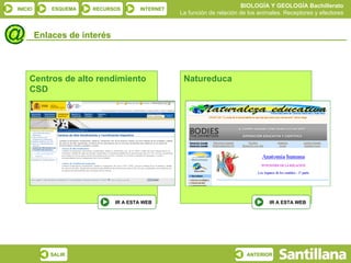 BIOLOGÍA Y GEOLOGÍA Bachillerato
INICIO       ESQUEMA   RECURSOS       INTERNET
                                                 La función de relación de los animales. Receptores y efectores


         Enlaces de interés



    Centros de alto rendimiento                   Natureduca
    CSD




                              IR A ESTA WEB                                       IR A ESTA WEB




            SALIR                                                         ANTERIOR
 