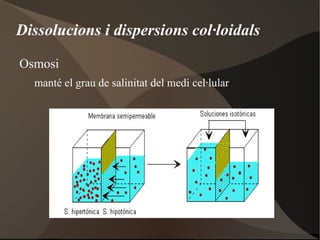 funcions vitals Fe Present a l'hemoglobina, proteïna transportadora d'oxigen. Zn Catalitzador Cu Forma part de l'hemocianina, pigment verdós de la sang dels invertebrats que transporta oxigen. Co Necessari per a sintetitzar vitamina B 12 . Mn Necessari per a la síntesi de clorofil·la en les plantes.  Si Forma part de la closca de les diatomees i dóna rigidesa a la tija de les gramínies. I Necessari per sintetitzar hormona tiroidea, reguladora del metabolisme. F Forma l'esmalt dental 