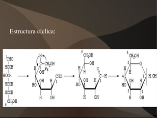 Elevada constant dielèctrica 