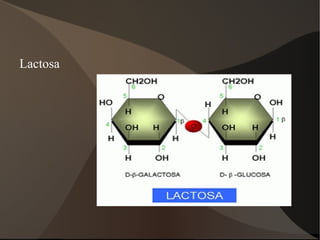 Mantenir el grau de salinitat en el medi intern 