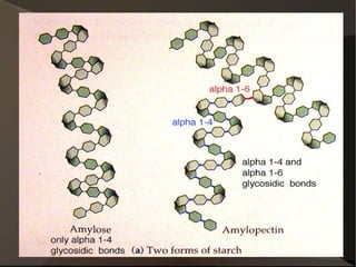 Sistemes de tampó o buffer: mecanisme de control per mantenir el pH cel·lular 