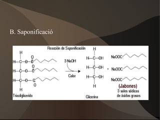 Desvien el plànol de vibració de la llum polaritzada 