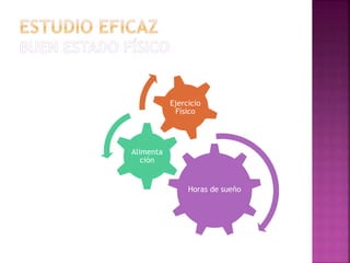 Horas de sueño
Alimenta
ción
Ejercicio
Físico
 