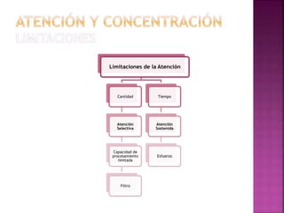 Limitaciones de la Atención
Cantidad
Atención
Selectiva
Capacidad de
procesamiento
limitada
Filtro
Tiempo
Atención
Sostenida
Esfuerzo
 