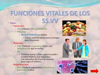 FUNCIONES VITALES DE LOS 
SS.VV • Tipos: 
• Nutrición: 
• Def: Obtener MO y ENERGÍA. 
• Proceso: 
• MO y ENERGÍA en células: 
• Crecer, renovar estructuras y energía 
para funciones. 
• Relación: 
• Def: Elaborar respuestas frente una 
información que se recibe. 
• Ej: 
• Teléfono suena / Oído capta el sonido / 
Cerebro elabora una respuesta / 
Los músculos del brazo se mueven 
para coger el teléfono. 
• Reproducción: 
• Def: Producir organismos idénticos o 
parecidos a ellos. 
 