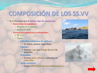 COMPOSICIÓN DE LOS SS.VV 
• Ss.vv formados por el mismo tipo de sustancias: 
• Sustancias inorgánicas: 
• Materia viva e inerte. 
• H2O y SS.MM. 
• Sustancias orgánicas o carbonadas: 
• % C. 
• Tipos: 
• Glúcidos o hidratos de carbono: 
• En frutas, patatas, legumbres… 
• Lípidos: 
• Forman capa por debajo de piel de 
animales. 
• Proteínas: 
• Forman pelo, plumas y abundan en 
músculos. 
• Ácido nucleico: 
• Como ADN (ácido desoxirribonucleico). 
 