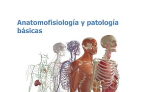 Anatomofisiología y patología
básicas
 