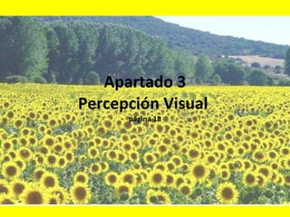 Apartado 3 Percepción Visual  página 18 