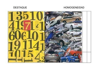 DESTAQUE  HOMOGENEIDAD 
