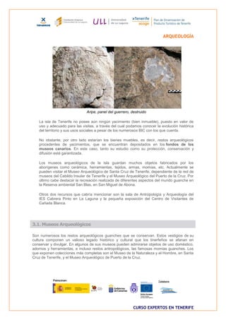 ARQUEOLOGÍA




                              Aripe, panel del guerrero, destruido

   La isla de Tenerife no posee aún ningún yacimiento (bien inmueble), puesto en valor de
   uso y adecuado para las visitas, a través del cual podamos conocer la evolución histórica
   del territorio y sus usos sociales a pesar de los numerosos BIC con los que cuenta.

   No obstante, por otro lado estarían los bienes muebles, es decir, restos arqueológicos
   procedentes de yacimientos, que se encuentran depositados en los fondos de los
   museos canarios. En este caso, tanto su estudio como su protección, conservación y
   difusión está garantizada.

   Los museos arqueológicos de la isla guardan muchos objetos fabricados por los
   aborígenes como cerámica, herramientas, tejidos, armas, momias, etc. Actualmente se
   pueden visitar el Museo Arqueológico de Santa Cruz de Tenerife, dependiente de la red de
   museos del Cabildo Insular de Tenerife y el Museo Arqueológico del Puerto de la Cruz. Por
   último cabe destacar la recreación realizada de diferentes aspectos del mundo guanche en
   la Reserva ambiental San Blas, en San Miguel de Abona.

   Otros dos recursos que cabría mencionar son la sala de Antropología y Arqueología del
   IES Cabrera Pinto en La Laguna y la pequeña exposición del Centro de Visitantes de
   Cañada Blanca.




3.1. Museos Arqueológicos

Son numerosos los restos arqueológicos guanches que se conservan. Estos vestigios de su
cultura componen un valioso legado histórico y cultural que los tinerfeños se afanan en
conservar y divulgar. En algunos de sus museos pueden admirarse objetos de uso doméstico,
adornos y herramientas, e incluso restos antropológicos, las famosas momias guanches. Los
que exponen colecciones más completas son el Museo de la Naturaleza y el Hombre, en Santa
Cruz de Tenerife, y el Museo Arqueológico de Puerto de la Cruz.




                                                          CURSO EXPERTOS EN TENERIFE
 