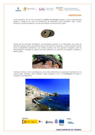 ARQUEOLOGÍA

de la ganadería. Así se ha constatado el cultivo de cereales (cebada y trigo) y leguminosas
(habas y arvejas), así como la recolección de diferentes frutos (madroño, faya, mocán,
bicácaro) y raíces de helecho, con los que también se hacía harina -gofio-.




Aparte de los animales domésticos, los aborígenes tuvieron a su disposición una serie de
animales salvajes de los que debieron hacer uso de forma ocasional, y que les habrían servido
como complemento alimenticio. Las fuentes escritas son muy parcas al respecto, pero la
Arqueología ha revelado la captura de aves (paloma) y el consumo de lagartos, roedores y
felinos (gato).




También sirvieron como complemento de la dieta alimenticia los productos derivados de la
pesca (vieja, morenas, mero, abadejo, sargo, pejeperro, etc.) y el marisqueo con lapas y
burgados, principalmente.




                                                          CURSO EXPERTOS EN TENERIFE
 