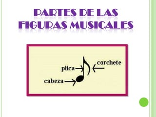 PARTES DE LAS FIGURAS MUSICALES