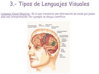 Lenguaje Visual Objetivo : Es el que transmite una información de modo que posea
sólo una interpretación. Por ejemplo un dibujo científico
3.- Tipos de Lenguajes Visuales
 
